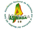 Asimaga Asimaga